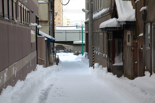 日本札幌的雪景