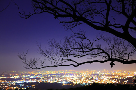 观音山夜景