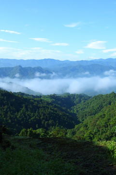 云海风景