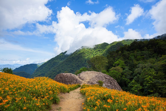 美丽景色