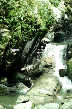 风景