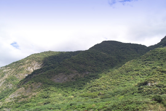 风景