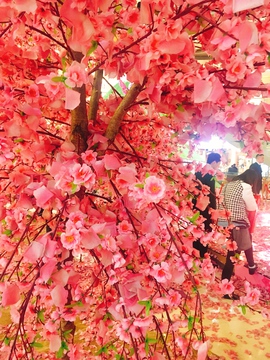 桃花 