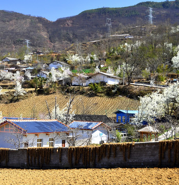 新农村建设