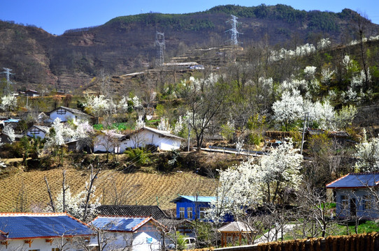 新农村建设