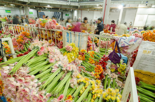 昆明斗南花市夜市