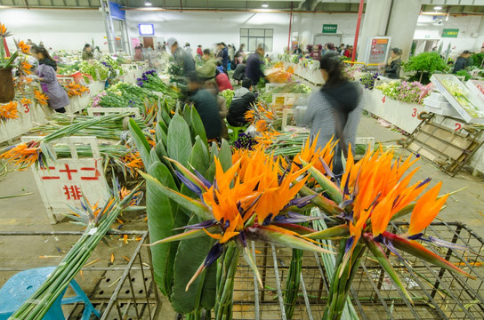 昆明斗南花市夜市