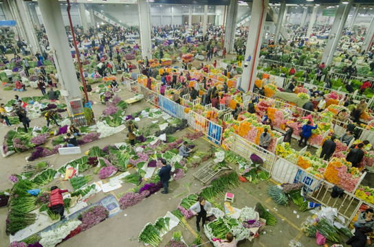 昆明斗南花市夜市