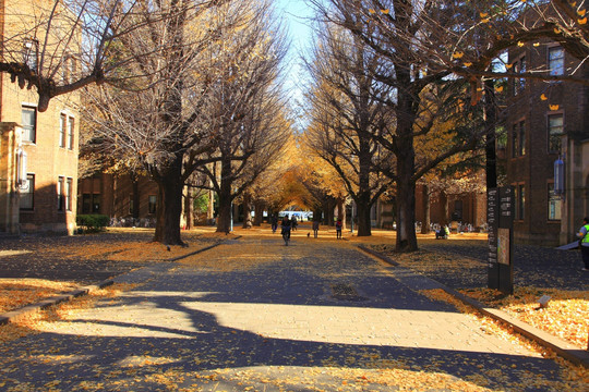 日本东京大学校园