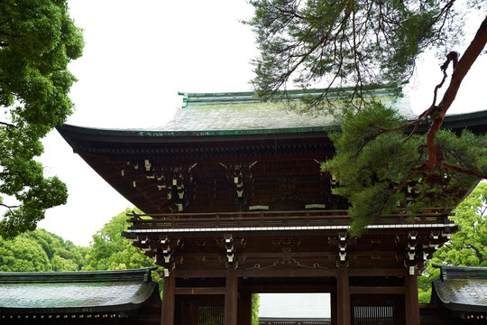 东京明治神宫