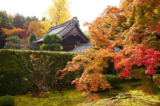 日本天龙寺