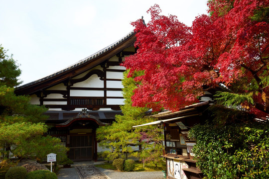 岚山天龙寺