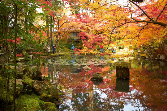 岚山天龙寺