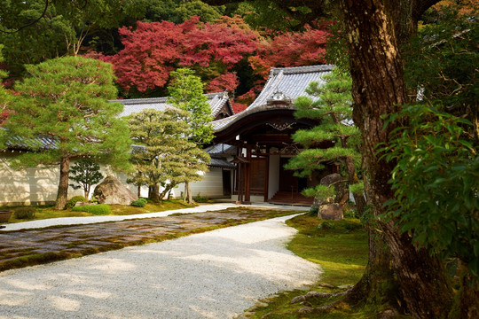 日本天龙寺