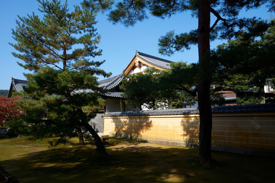 日本天龙寺