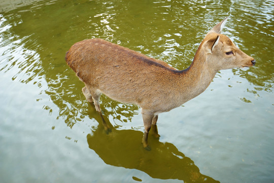 水族馆