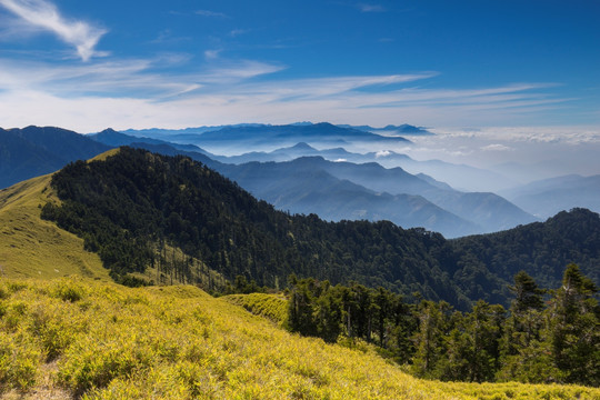 台湾南投合欢山