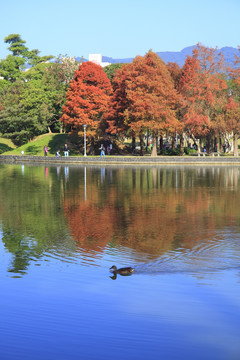 台湾大湖公园