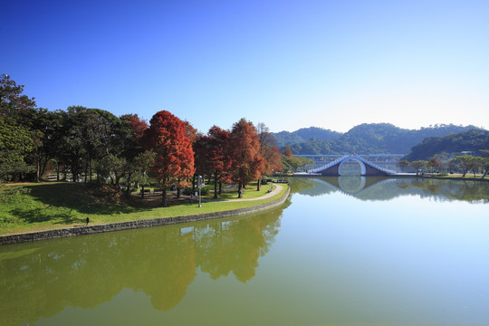 台湾大湖公园