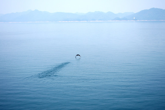 美丽的千岛湖