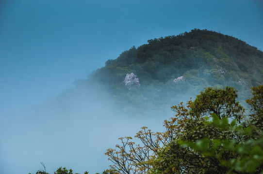 雾色山景