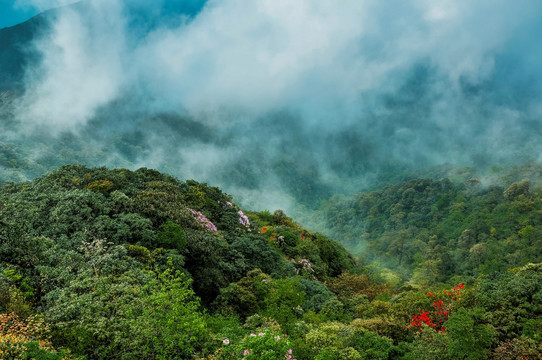 雾色山景