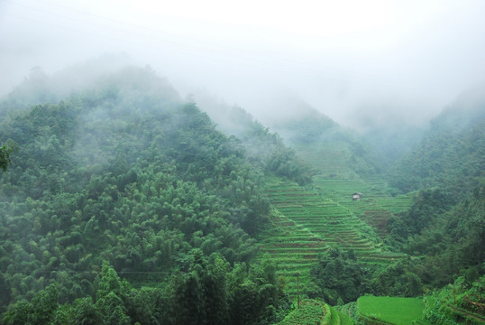 雾色山景