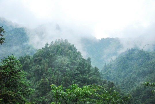 雾色山景