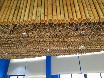竹 天花板