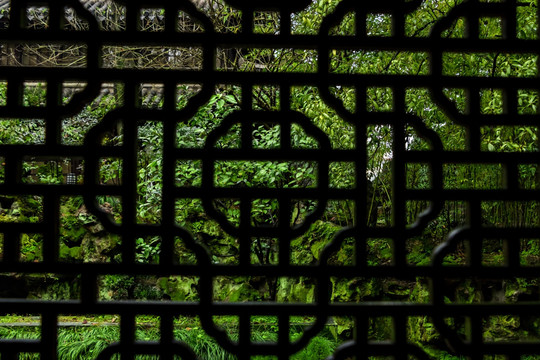 绿色园林 老式木窗户
