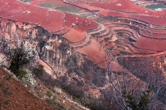 山水皴法