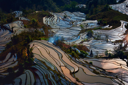 元阳 梯田 高清晰