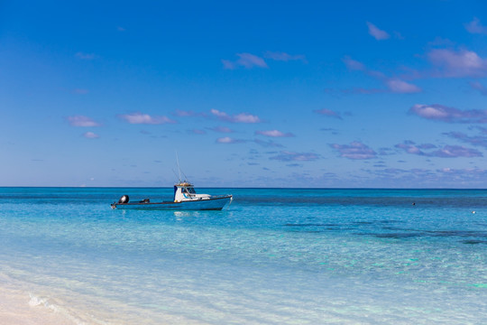 大海 蓝色背景