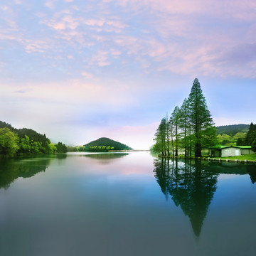 春天湖景