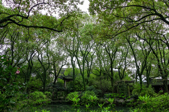 甬园池水 园林 池水 凉亭