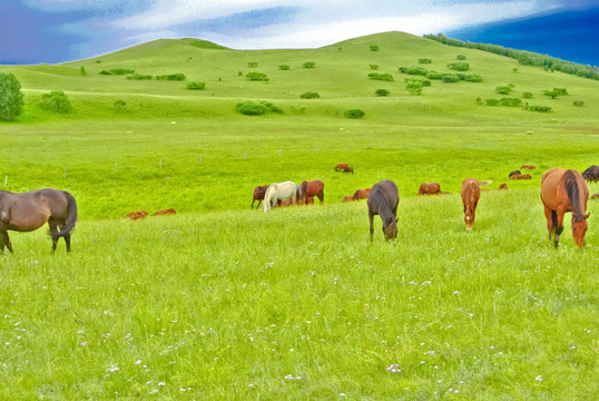 草原风光 内蒙古大草原