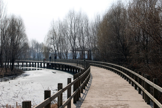 沈阳鸟岛