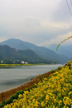 新安江山水画廊