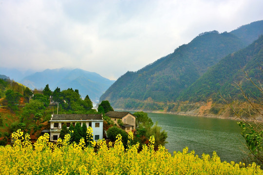 新安江山水画廊