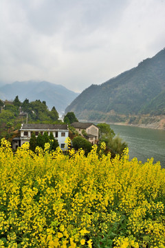 新安江山水画廊