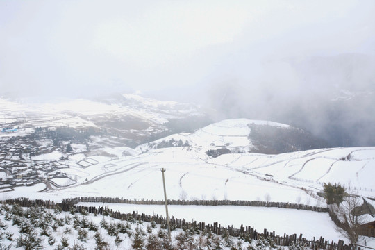 雪景 藏族村寨 雪天