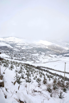 藏民村寨 白雪覆盖