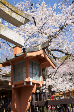 日本神庙鸟居