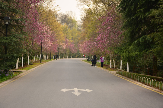 小路