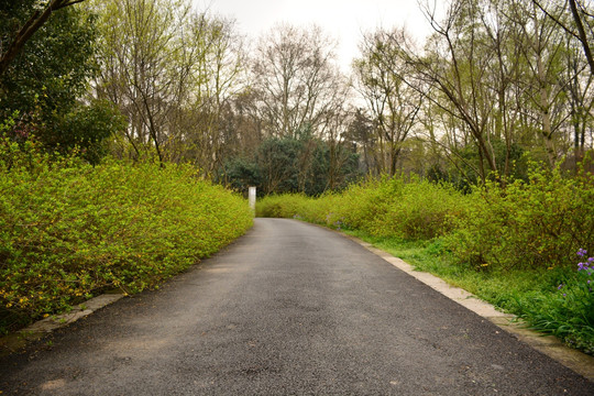 小路