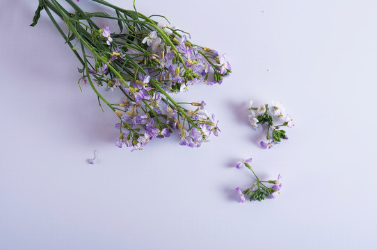 花草