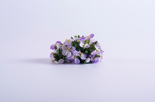 花草