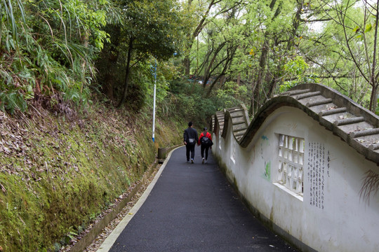 健康步道