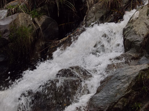 奔流溪水