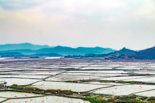 水田阡陌